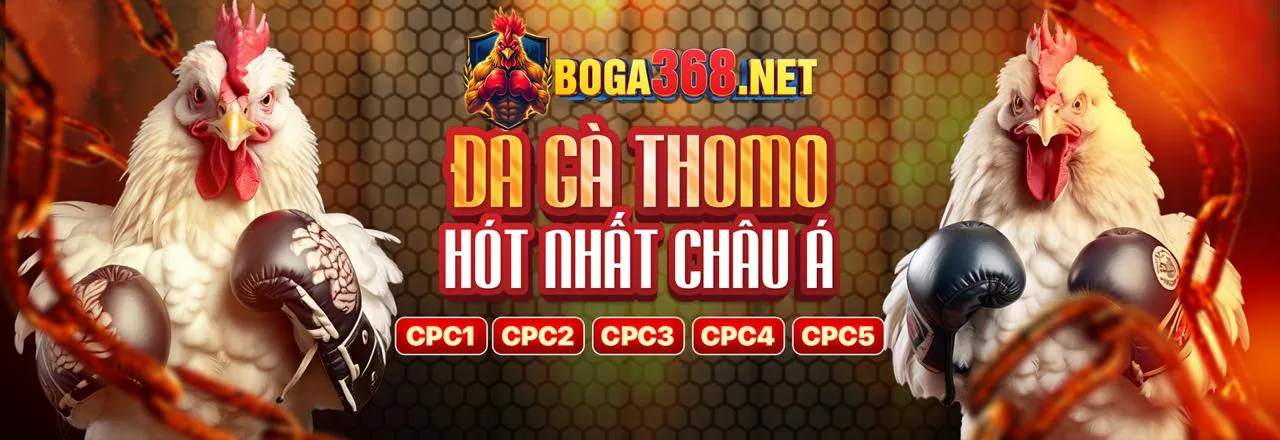 Hình ảnh tượng trưng cho cá cược có trách nhiệm